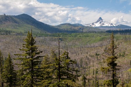 Mount Washington in de Cascades